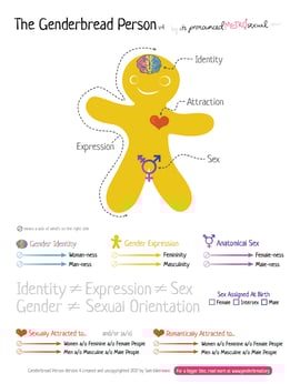 Genderbread-Person-v4