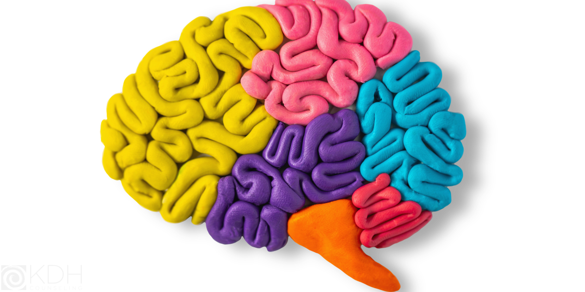 Multicolored Brain