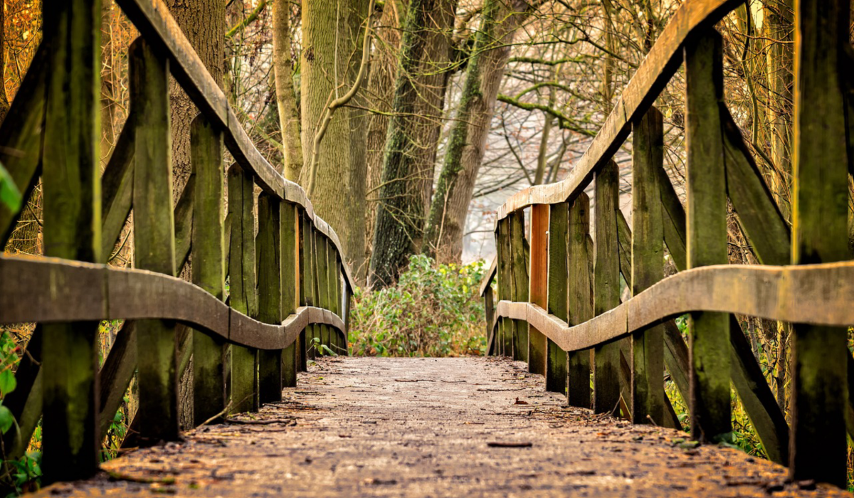 Cults and Therapy - Ensuring Safety and Accountability