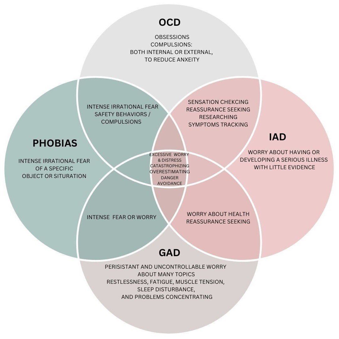 OCD vs. Anxiety Disorders: Key Differences for Therapists