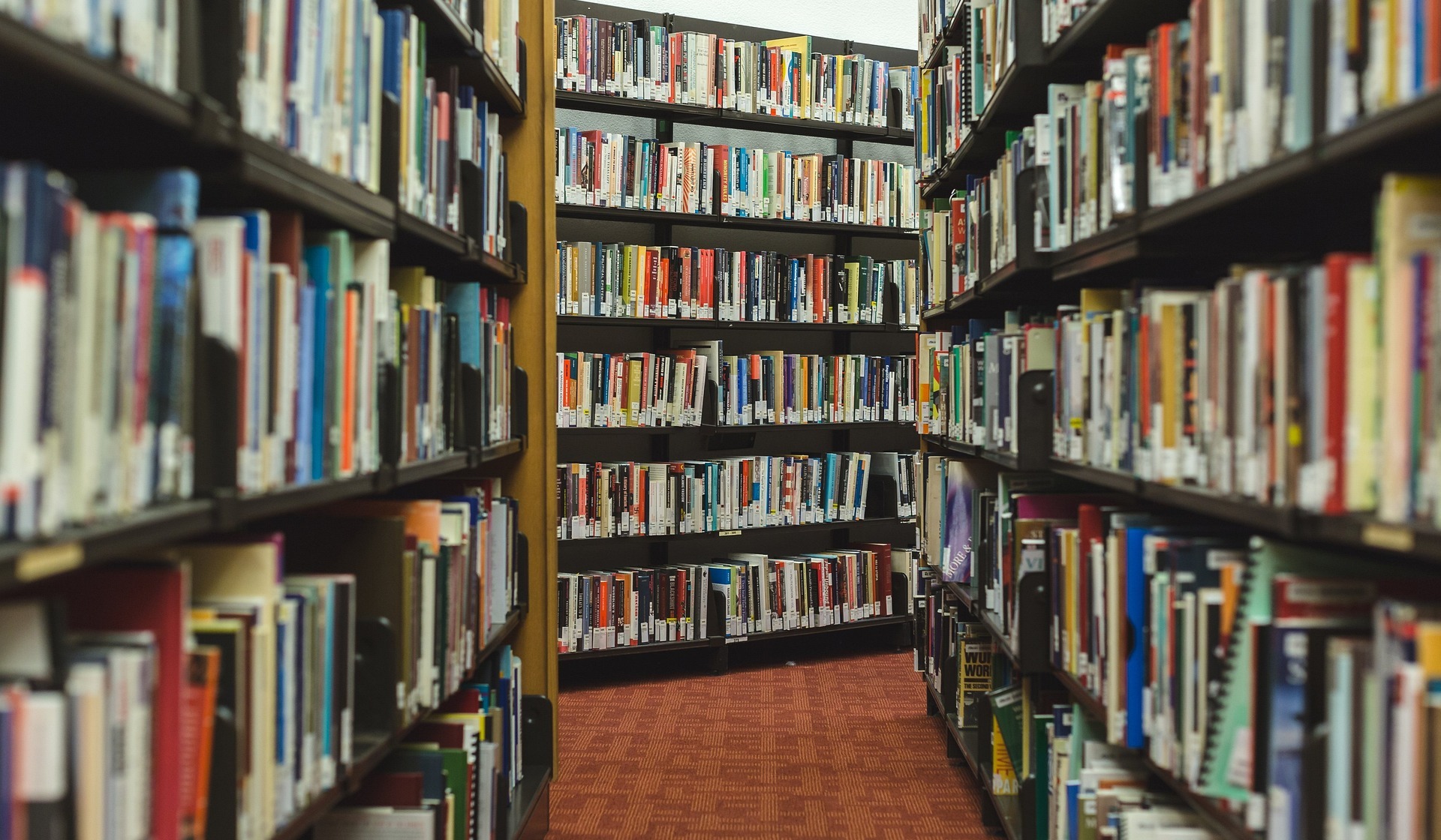 Library shelves full of books